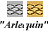 Ecridor Arlequin 