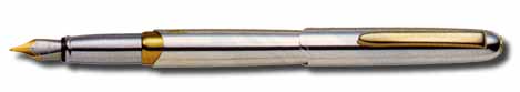 Silver/Gold Fountain Pen